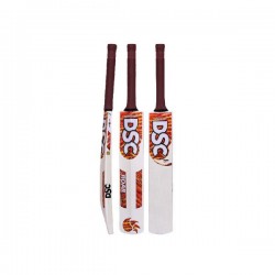 DSC Roar Range Claw Kashmir Willow Cricket Bat