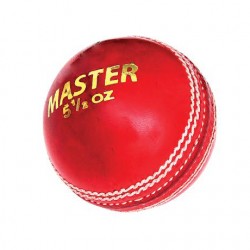 DSC Master (4 Pcs) Cricket Leather Ball (1 Pcs Blister)