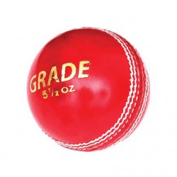 DSC Grade (4 Pcs) Cricket Leather Ball (1 Pcs Blister)
