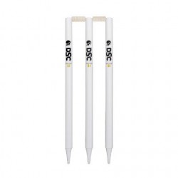 DSC Fine Duco Finish Cricket Stump