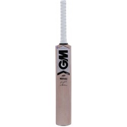 GM Icon 202 Kashmir Willow Cricket Bat