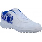 Gowin CS-304 Advance Cricket Shoes
