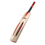 Gray Nicolls Dynadrive GN6 English Willow Cricket Bat (SH)