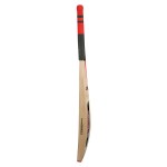 Gray Nicolls Dynadrive GN6 English Willow Cricket Bat (SH)