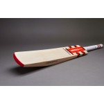 Gray Nicolls F18 GN2 English Willow Cricket Bat