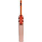 Gray Nicolls Kaboom GN Academy English Willow Cricket Bat