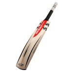 Gray Nicolls Oblivion E41 GN 6.5 English Willow Cricket Bat (SH)