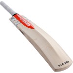 Gray Nicolls Players GN9 English Willow Cricket Bat (SH)