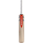 Gray Nicolls Players GN9 English Willow Cricket Bat (SH)