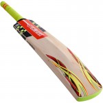 Gray Nicolls Powerbow GN+ English Willow Cricket Bat (SH)