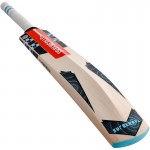 Gray Nicolls Supernova GN1 Junior English Willow Cricket Bat