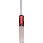 Gray Nicolls F18 Pulse Junior Kashmir Willow Cricket Bat