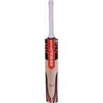 Gray Nicolls F18 Pulse Junior Kashmir Willow Cricket Bat