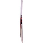 Gray Nicolls F18 Pulse Junior Kashmir Willow Cricket Bat
