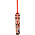 Gray Nicolls Kaboom Smash PP Kashmir Willow Cricket Bat