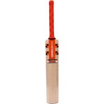 Gray Nicolls Kaboom Smash PP Kashmir Willow Cricket Bat