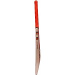 Gray Nicolls Kaboom Smash PP Kashmir Willow Cricket Bat