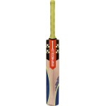 Gray Nicolls Omega Blazer PP Kashmir Willow Cricket Bat