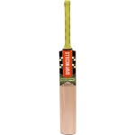Gray Nicolls Omega Blazer PP Kashmir Willow Cricket Bat