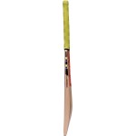 Gray Nicolls Omega Blazer PP Kashmir Willow Cricket Bat
