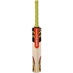 Gray Nicolls Powerbow5 Smasher PP 0 Junior Kashmir Willow Cricket Bat