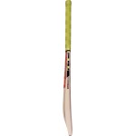 Gray Nicolls Powerbow5 Smasher PP 0 Junior Kashmir Willow Cricket Bat
