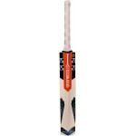 Gray Nicolls Supernova Powerplay Ton Kashmir Willow Cricket Bat