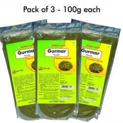 Herbal Hills Gurmar Powder 100 Gms Powder