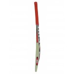 HRS 77 Kashmir Willow Cricket Bat
