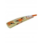 HRS Jumbo Kashmir Willow Cricket Bat