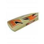 HRS Jumbo Kashmir Willow Cricket Bat