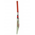 HRS Blaster Kashmir Willow Cricket Bat