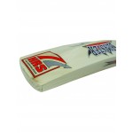 HRS Blaster Kashmir Willow Cricket Bat