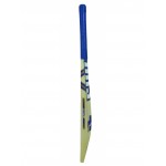 HRS Plus Power Kashmir Willow Cricket Bat