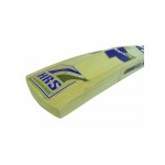 HRS Plus Power Kashmir Willow Cricket Bat