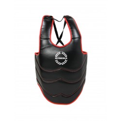 Invincible Advanced Body Shield