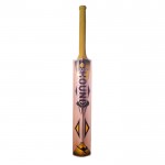 Hound Slasher English Willow Cricket Bat