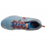 Nike Dual Fusion Trail Running Shoes (Gray)