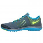 Nike FS Lite Run 2 Running Shoes (Gray)