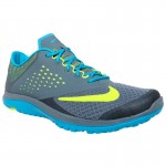 Nike FS Lite Run 2 Running Shoes (Gray)