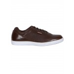 Provogue PV7086 Men Formal Shoes (Brown)