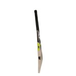 SF 20-20 Kashmir Willow Cricket Bat