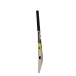 SF Cannon Kashmir Willow Cricket Bat