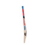 SF Icon English Willow Cricket Bat