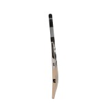 SF Jumbo Kashmir Willow Cricket Bat