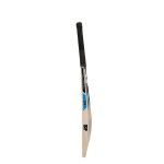SF Maestro Kashmir Willow Cricket Bat