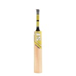 SF Nexzen English Willow Cricket Bat