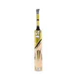 SF Nexzen English Willow Cricket Bat