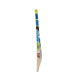 SF One Dayer English Willow Cricket Bat