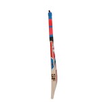 SF Pro Players English Willow Cricket Bat